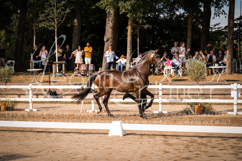 FrER00153 | Leoni Ertmer Photography - Realisiert mit Pictrs.com