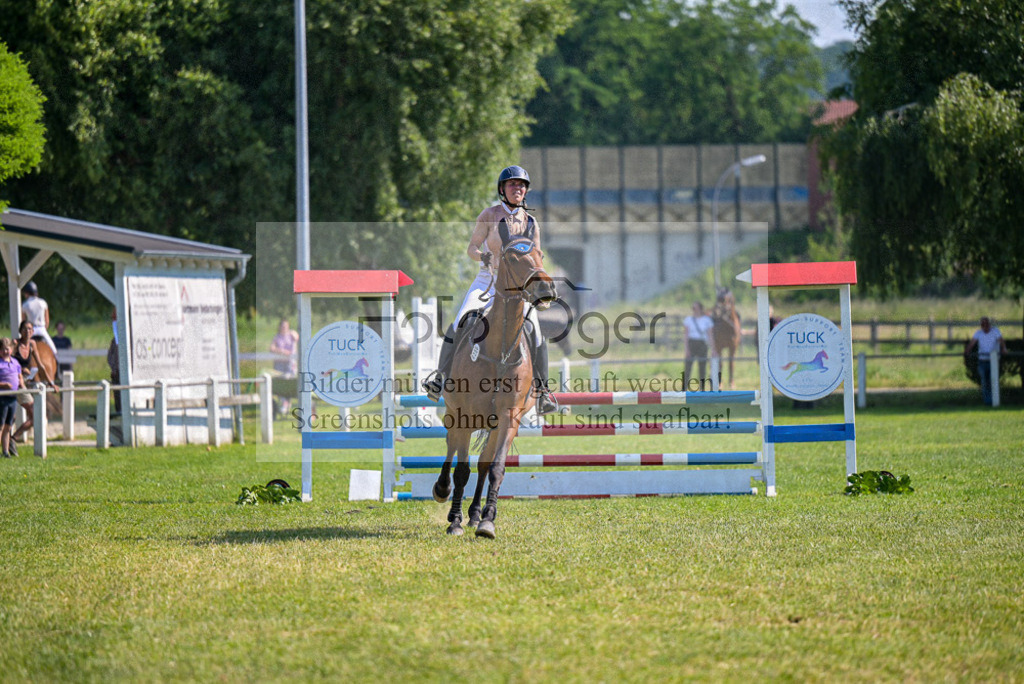 Reitturnier Voxtrup | Entdecke hochwertige Reitturnierfotos von Foto Oger. Professionell, emotional und authentisch – jetzt Lieblingsmomente im Shop bestellen. - Realisiert mit Pictrs.com