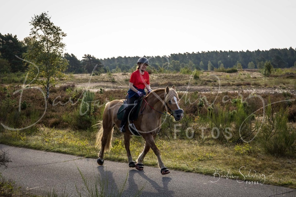 DdLH-TrotBy_2025-09-20_49 | Fotografie, Veranstaltungs-Fotografie, Pferde-Fotografie, Landschafts-Fotografie, Reise-Fotografie - Realisiert mit Pictrs.com