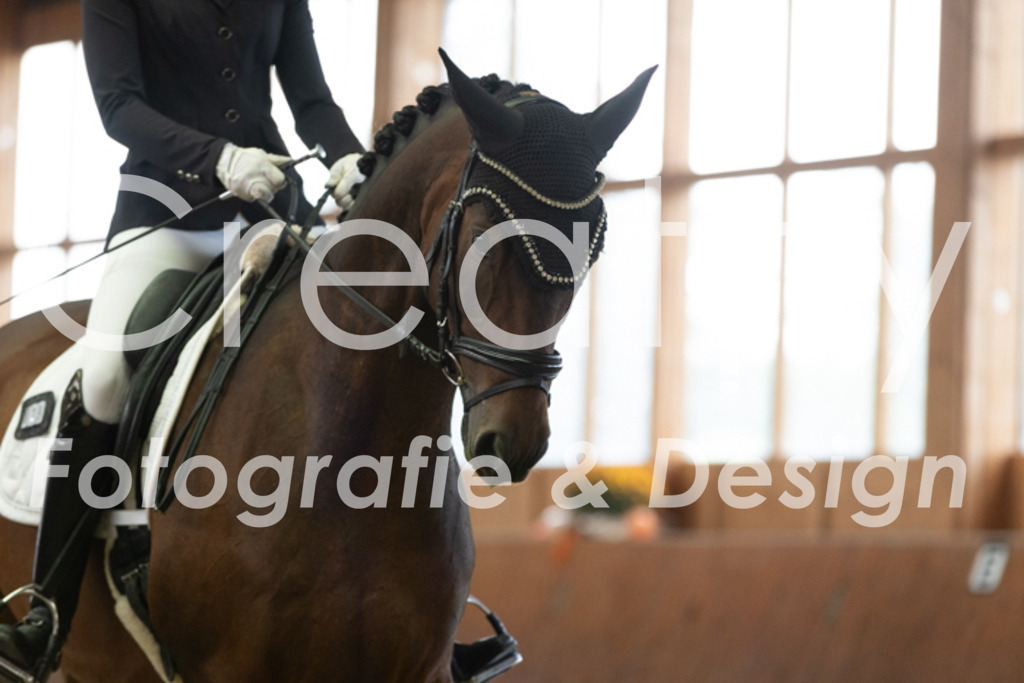 IMG_1865 | Creatify Fotografie