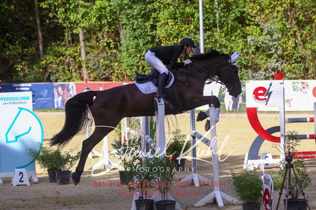 DKP42411 | Turniersportfotografie; Pferdefotografie; Dressurfotografie