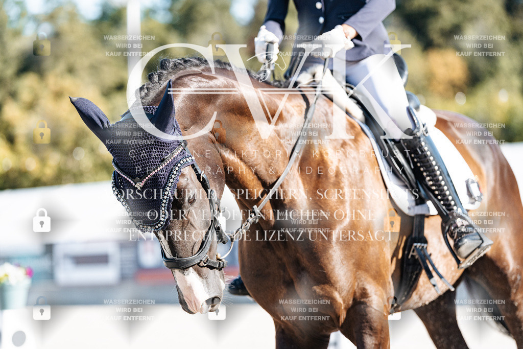 CK907499 | Turnierfotografie Pferdefotografie Trier Rheinland-Pfalz Pferdesport Reitsport Tierfotografie Sportfotografie Pferdevideo Pferdevideografie Equestrianvideography equestrianphotography  - Realisiert mit Pictrs.com