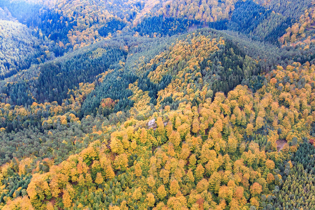 Aerial view: Hohenfels Castle in Dambach in the state Bas-Rhin, France.Photo: IMG_084676.jpg taken on 10/23/2015 by Werner Riehm/FLY-FOTO.comResolution of the original: 5317 x 3545 pxWWW.WANDERPARADIES-WASGAU.DE