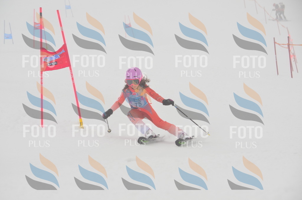 C1203 | holidayphoto