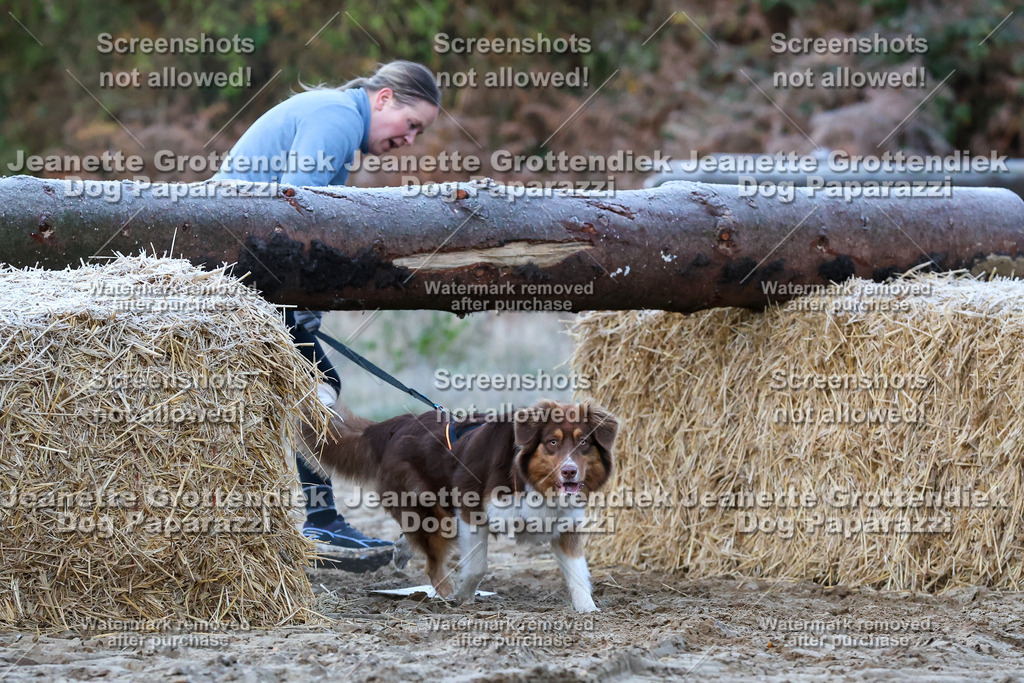 Dog Paparazzi - Strongdog 10-25-118 | Dog Paparazzi Jeanette Grottendiek Fotografie & Videografie