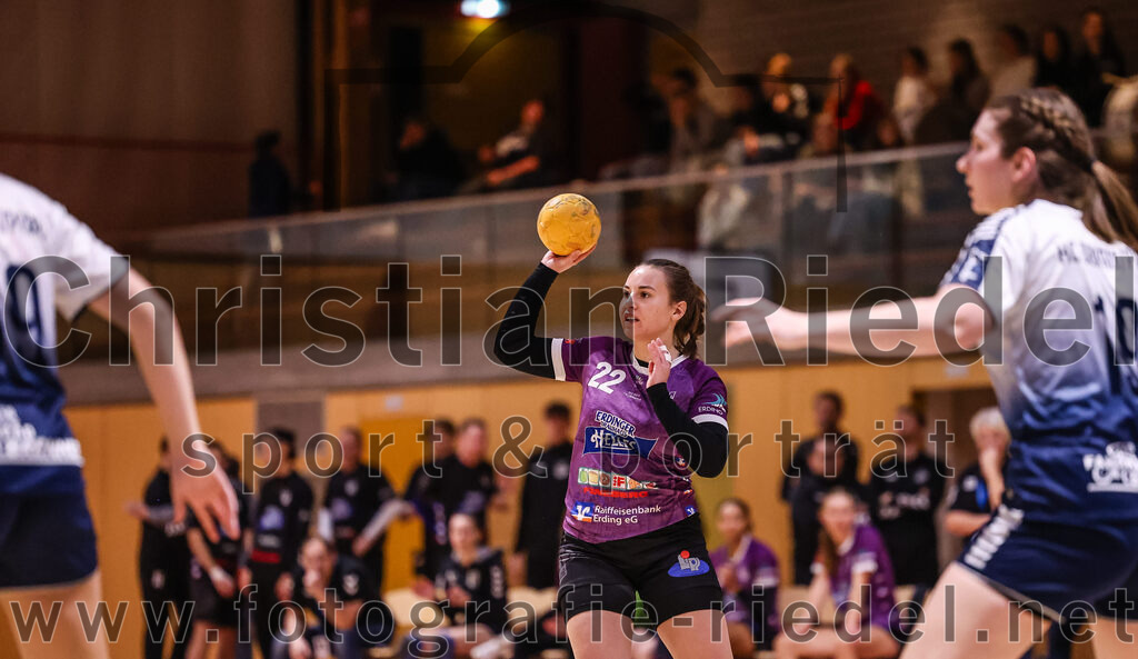 2024-11-24_117_SpVgg_Altenerding_gegen_HC_Donau-Paar_II | Erding, Deutschland, 24.11.2024:Handball, Bezirksoberliga Frauen Altbayern 2024 / 2024, 6. Spieltag, SpVgg Altenerding gegen HC Donau/Paar II, Endergebnis: 24:24Johanna Taubmann (SpVgg Altenerding, #22)Foto: Christian Riedel / fotografie-riedel.net