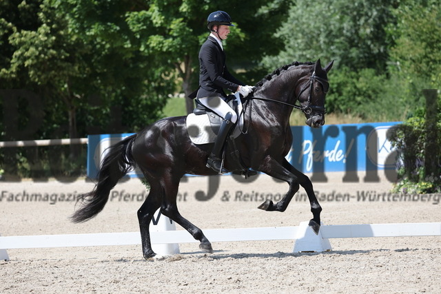 Weilheim_2025_Prfg.Nr.24_Reitpferdeprüfung_Tristan rückert_Ilario 8 (6) | Alle Fotos der Reiterjournal Fotografin Doris Matthaes im Reiterjournal Online-Fotoshop. - Realisiert mit Pictrs.com