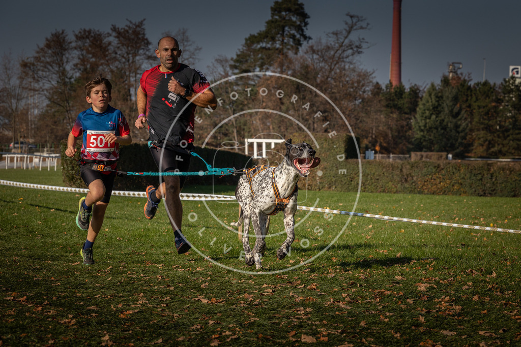 CaniXpix_0L8A8240 | Hundefotografie, Tierfotograf, Pfotenfotografie, Fotoshooting Hund, Hunde Portrait, Hundesport, Hundeportraits, Heideshooting, Hunde, Sportfotograf, Hundefotograf, Turnierhundsport, THS,  - Realisiert mit Pictrs.com