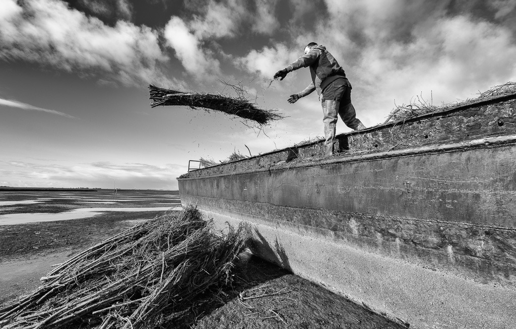 Lahnungsarbeiten des LKN.SH im Watt vor Pellworm © Holger Rüdel | Der Online-Shop von Holger Rüdel. Ausgewählte Fotografien als FineArt-Prints bestellen: Bildreportagen, Landschaften, Wildlife, History, Infrarot-Motive in Schwarzweiß und Verschiedenes.  - Realisiert mit Pictrs.com