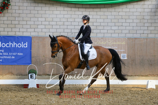 IMG_2605 | Turnierfotos kaufen im Webshop von Daniel Kuhl Photography – entdecke professionelle Reitsportfotos aus Turnieren & Events. Hochwertige Turnierbilder online bestellen & sichern. Jetzt Fotos von Reitsportturnieren kaufen!