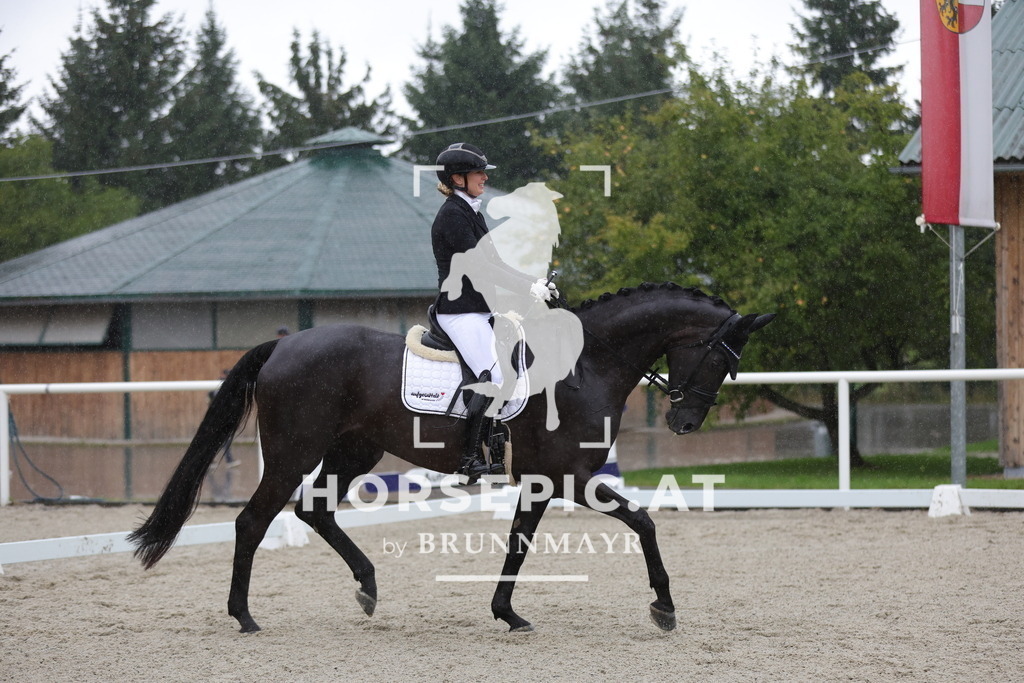 0P6A0480 | Willkommen bei Brunnmayr - Design & Fotografie – Ihrem Spezialisten für Reitturniere und Pferdeveranstaltungen in Oberösterreich, Salzburg und Bayern! Seit über 17 Jahren sind wir leidenschaftlich dabei.