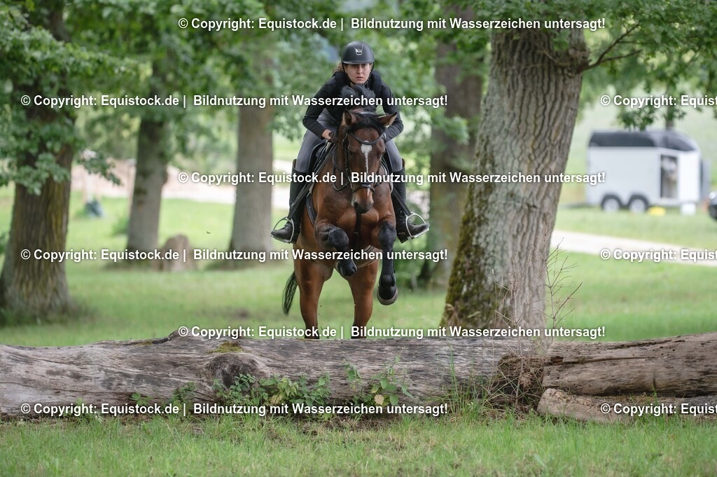 20250726_Vielseitigkeitslehrgang-Marbach_0758 | Foto: Thomas Hartig