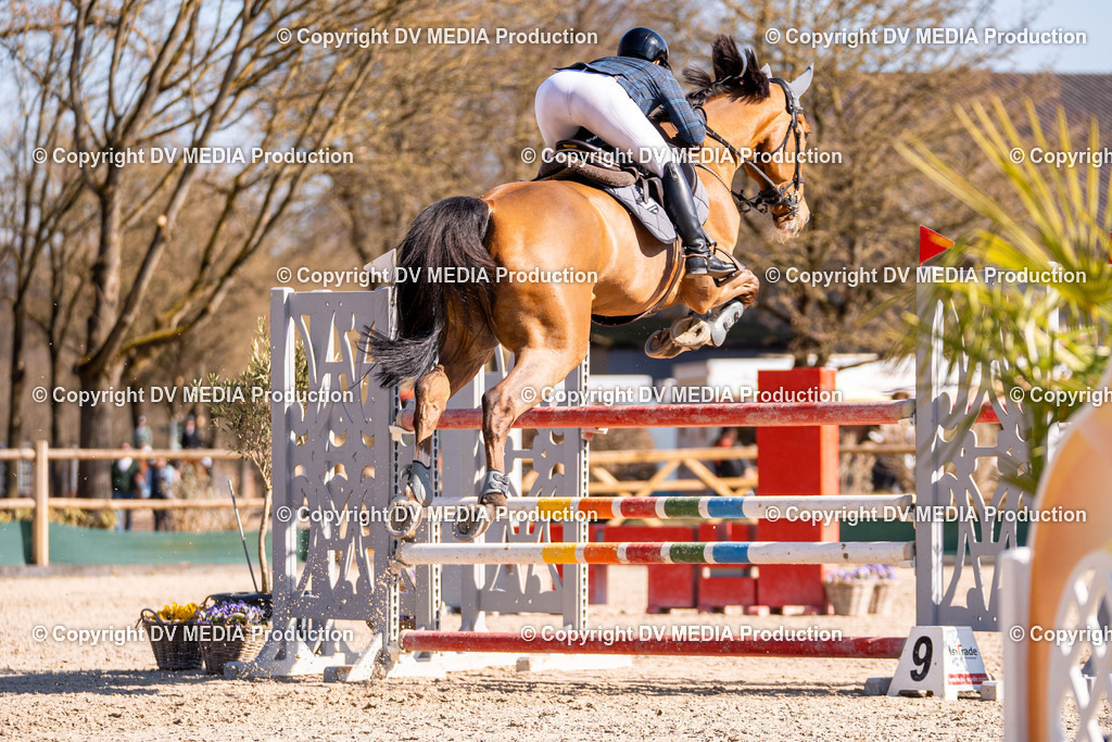 Kranichstein Tag 2-757 | dv-media-shop - Realisiert mit Pictrs.com