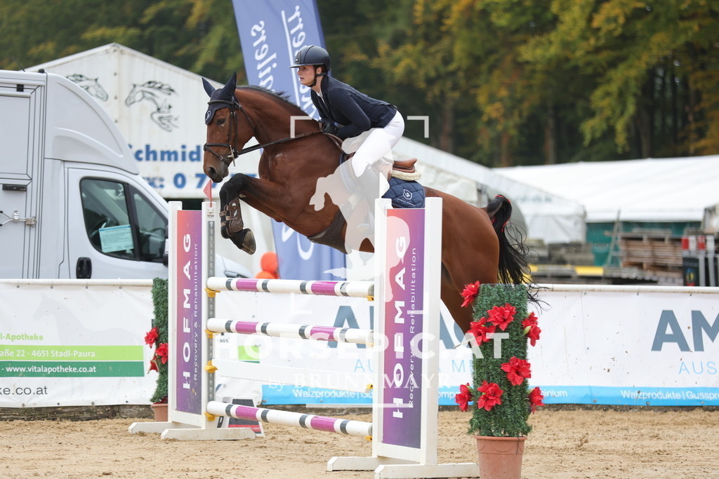 0P6A6757 | Willkommen bei Brunnmayr - Design & Fotografie – Ihrem Spezialisten für Reitturniere und Pferdeveranstaltungen in Oberösterreich, Salzburg und Bayern! Seit über 17 Jahren sind wir leidenschaftlich dabei.