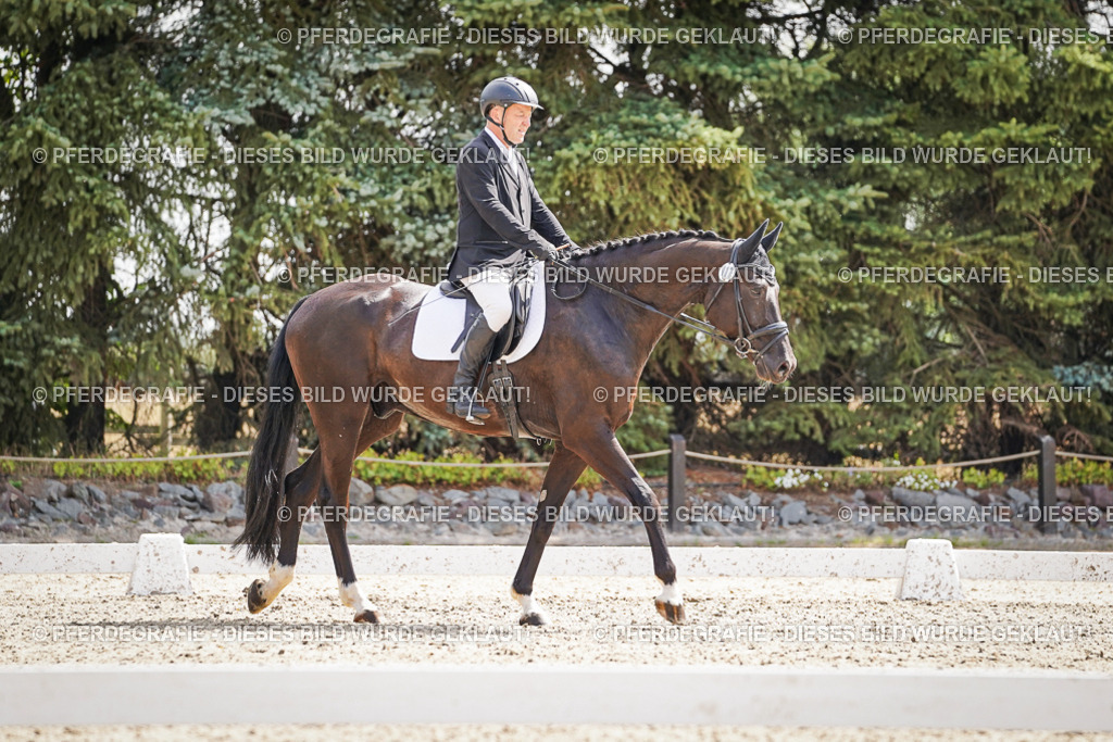 DSC08803 | Pferdegrafie