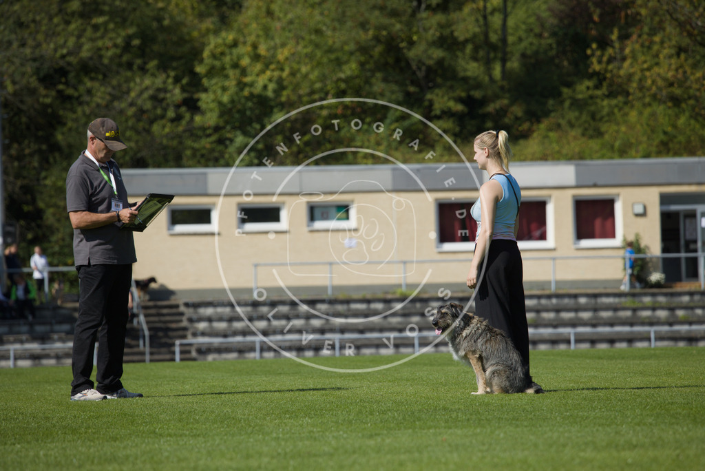 0L8A2541 | Hundefotografie, Tierfotograf, Pfotenfotografie, Fotoshooting Hund, Hunde Portrait, Hundesport, Hundeportraits, Heideshooting, Hunde, Sportfotograf, Hundefotograf, Turnierhundsport, THS,  - Realisiert mit Pictrs.com