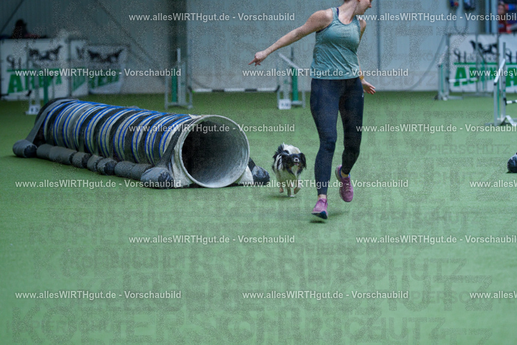 @allesWIRTHgut_Tierfotografie - www.allesWIRTHgut.de - 2604251403-7R504612 | Professionelle Tierfotografie in Mönchengladbach von Daniel Wirth (allesWIRTHgut). Liebevolle & natürliche Bilder von Hunden & Katzen für unvergessliche Erinnerungen.