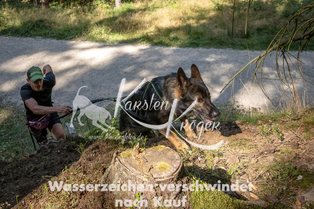 1241_ZZ94967 | kk-dogfotos