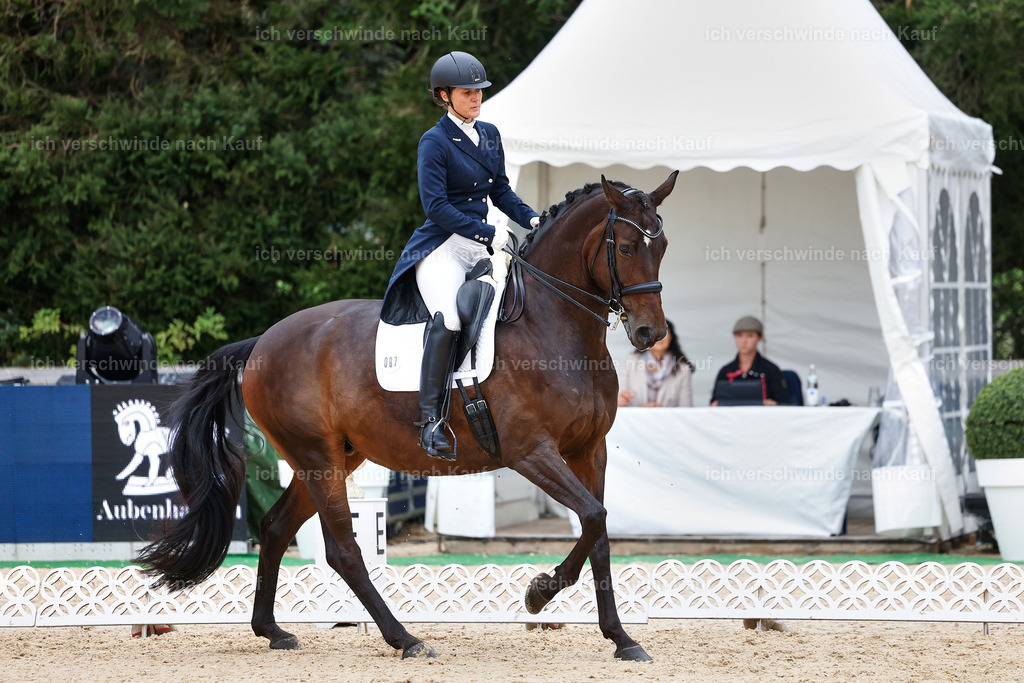 8_1-087-Klasse S_  -StoibPH-3836 | working equitationturnier fotograf videograf stoibphotography marixx film working equitation deutschland reitsport turnierfotografie eventfotografie equestrian events