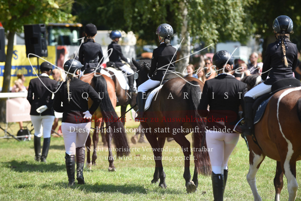 DSC_9786 | Pferde- und Turnierfotografie in Westsachsen. Pferdeportraits, Auftragszeichnungen und intuitive Kunst.