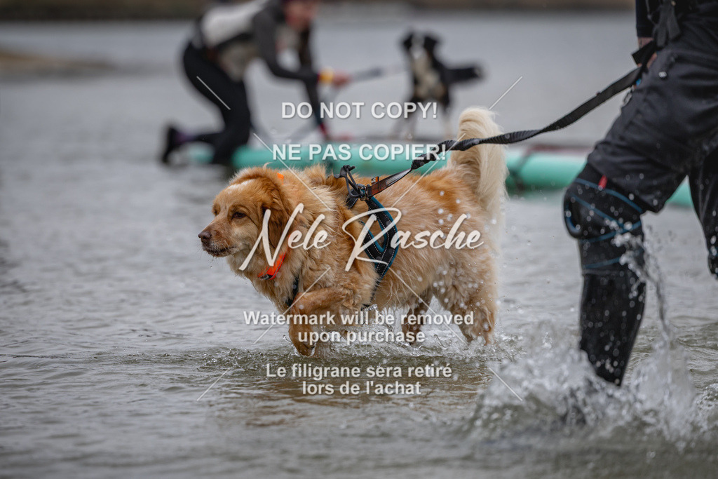 nelerasche_Hulsbeek_Sa1430-1515_356 | nelerasche