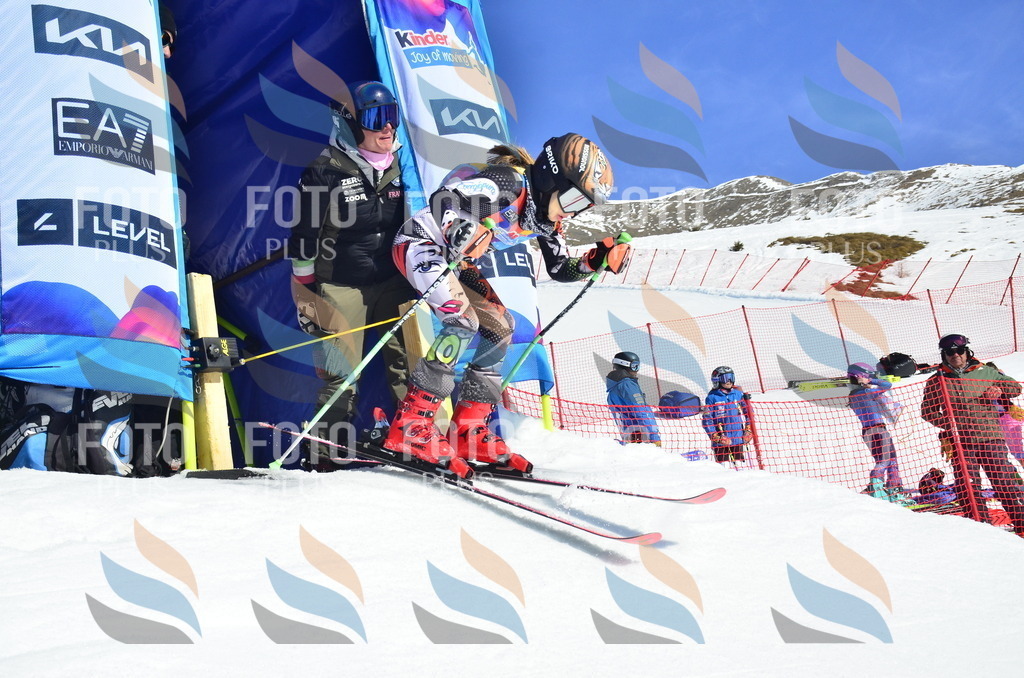 _ELE9666 | holidayphoto