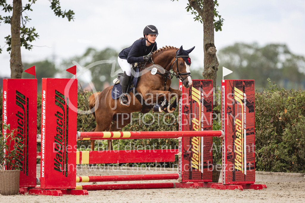 240616_Lemwerder_A2-Spr-219 | Deine schönsten Turniermomente als professionelle Fotos! Entdecke hochwertige Pferdesport-Fotografie im Online-Shop. Jetzt Fotos finden & bestellen!