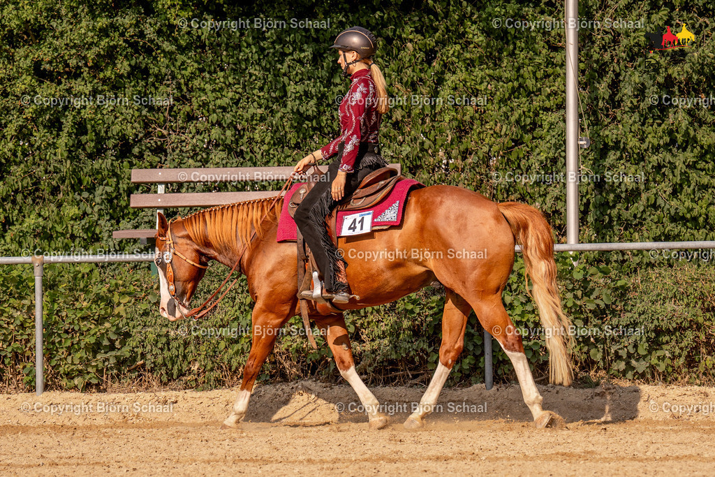 LMS07409 | BS-foto