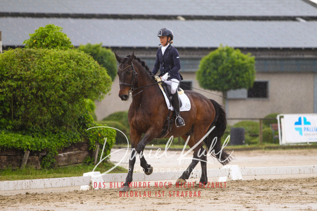 DKP40312 | Turniersportfotografie; Pferdefotografie; Dressurfotografie