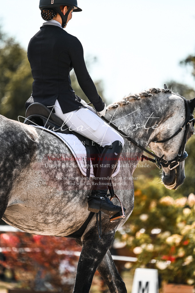 DSC_5589 | Pferde- und Turnierfotografie in Westsachsen. Pferdeportraits, Auftragszeichnungen und intuitive Kunst.