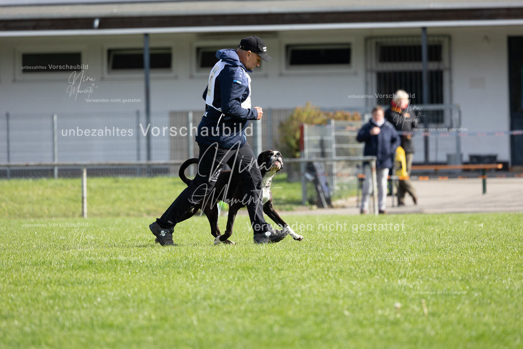 _16A6641 | Einzigartige Fotos von Hunden & Menschen –Actionfotos, Portraits, Vereinsaufnahmen & Paarshootings – authentisch, lebendig & mit Herz.