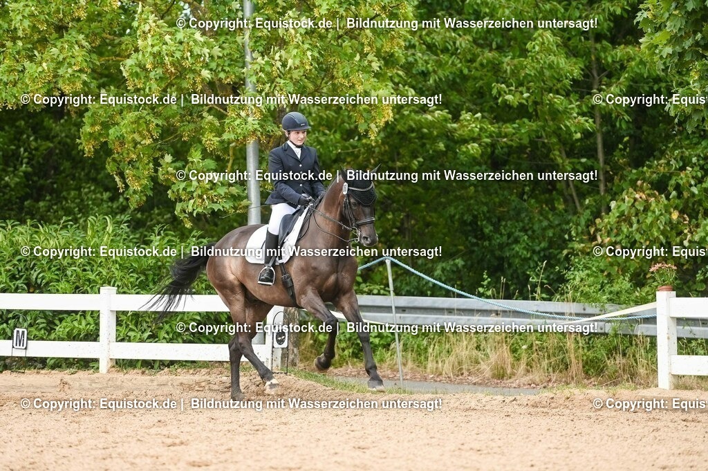 20230716_01_Dressurprüfung Kl.M_0417 | equistock