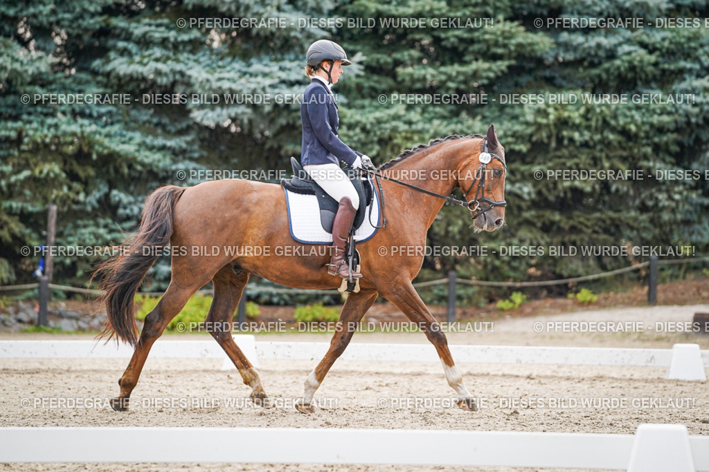 DSC00424 | Pferdegrafie