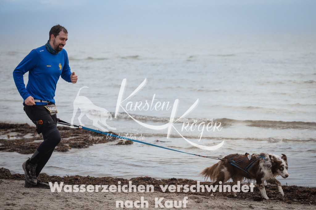 1146_ZZ91008 | kk-dogfotos
