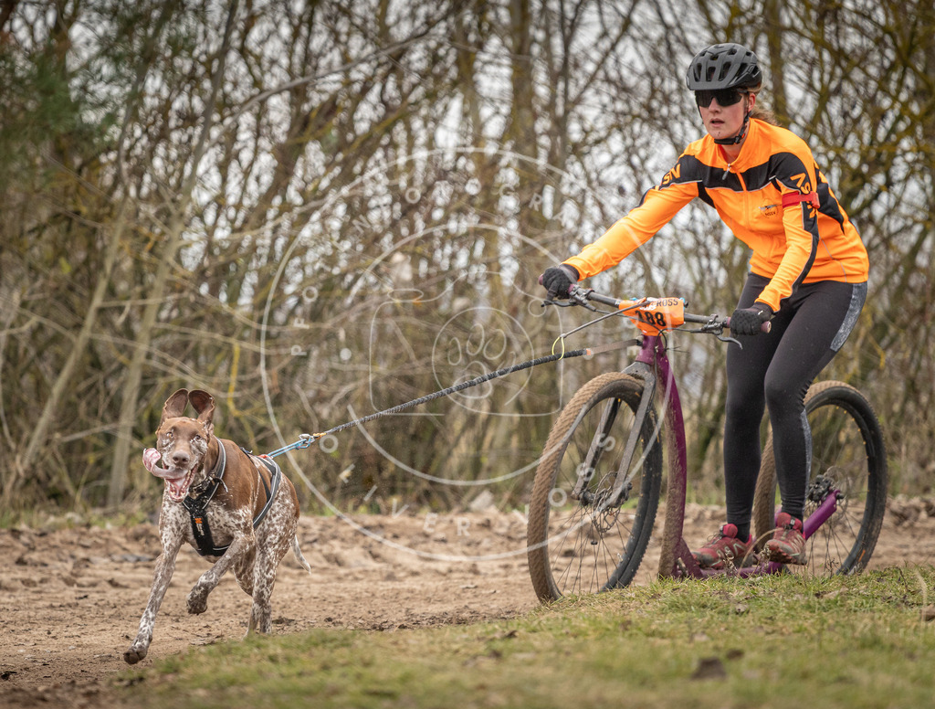 Pfotenfotografie_DV3A9843 | Hundefotografie, Tierfotograf, Pfotenfotografie, Fotoshooting Hund, Hunde Portrait, Hundesport, Hundeportraits, Heideshooting, Hunde, Sportfotograf, Hundefotograf, Turnierhundsport, THS,  - Realisiert mit Pictrs.com
