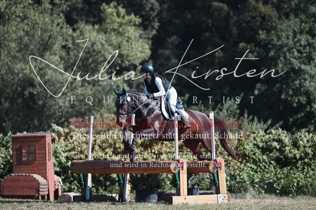 DSC_8649 | Pferde- und Turnierfotografie in Westsachsen. Pferdeportraits, Auftragszeichnungen und intuitive Kunst.