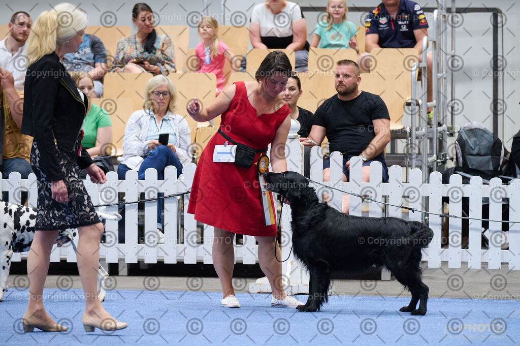 202406_ÖKV-IHA-Tulln24_DSC_4860 | proPHOTO - Realisiert mit Pictrs.com