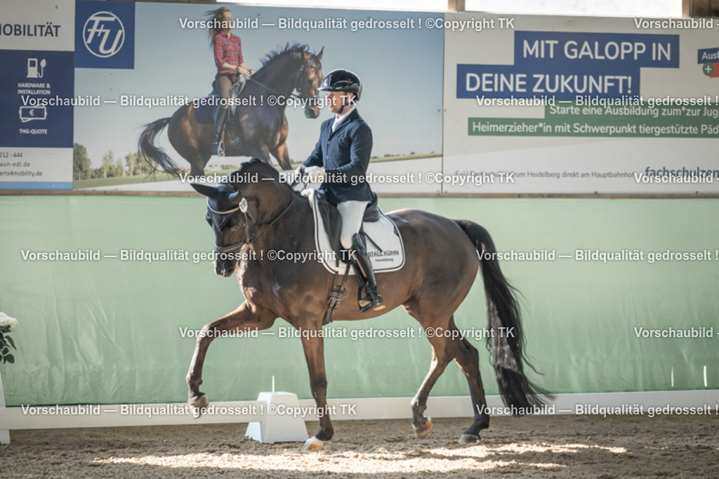 _D5A0883 | Emotionale Pferde- & People-Fotografie rund um Heidelberg, Leimen & Umgebung. Natürliche Fotos von Pferd, Mensch & Familie. Jetzt Termin sichern!