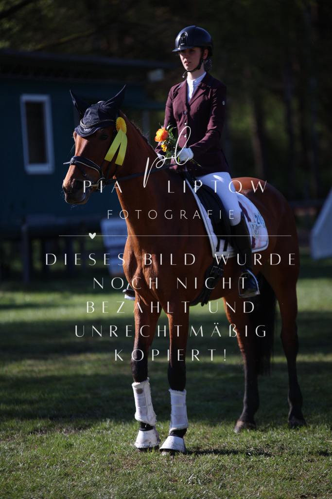 IMGT6713 | pl-fotografie