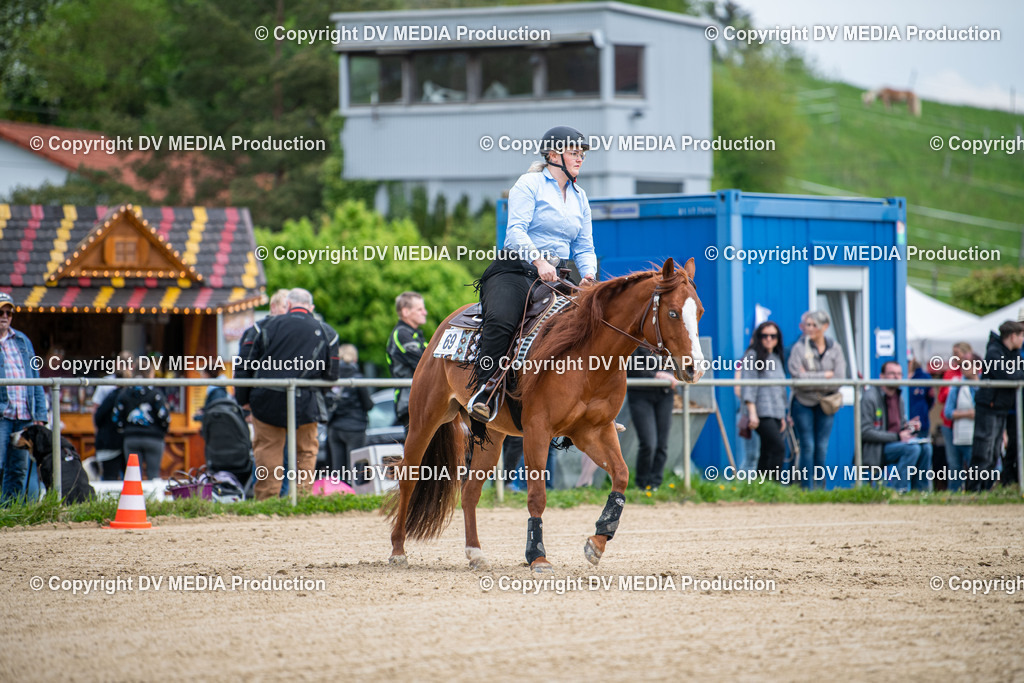 Heiligenwald Tag 2-1897 | dv-media-shop - Realisiert mit Pictrs.com