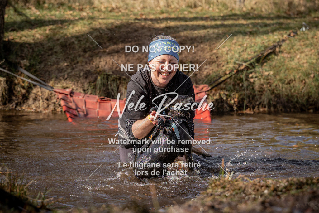 nelerasche_FS1330-1400_343 | nelerasche