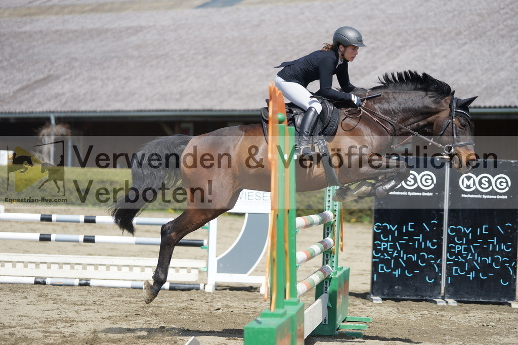 DSC02633 | equestrian-live-com