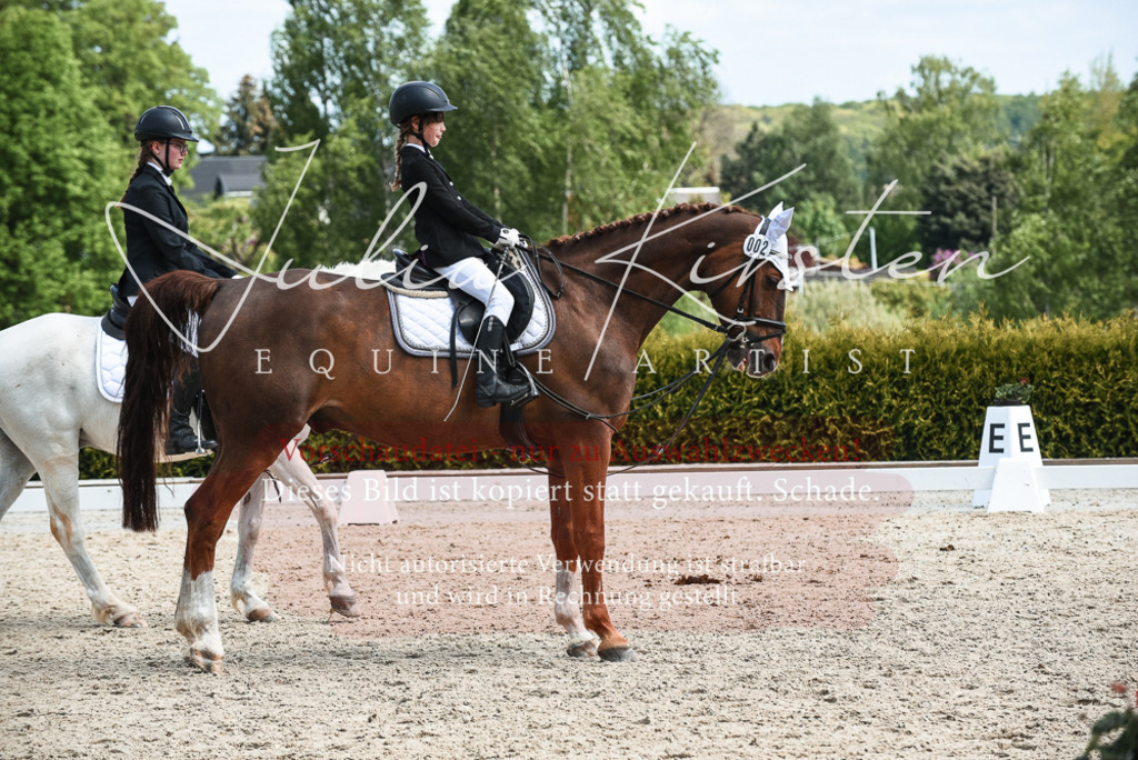 20230518_JK-Röhrsdorf-11-0899 | Pferde- und Turnierfotografie in Westsachsen. Pferdeportraits, Auftragszeichnungen und intuitive Kunst.