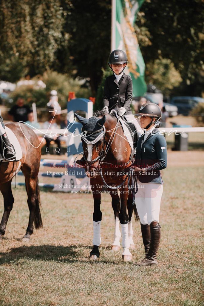 DSC_5955 | Pferde- und Turnierfotografie in Westsachsen. Pferdeportraits, Auftragszeichnungen und intuitive Kunst.