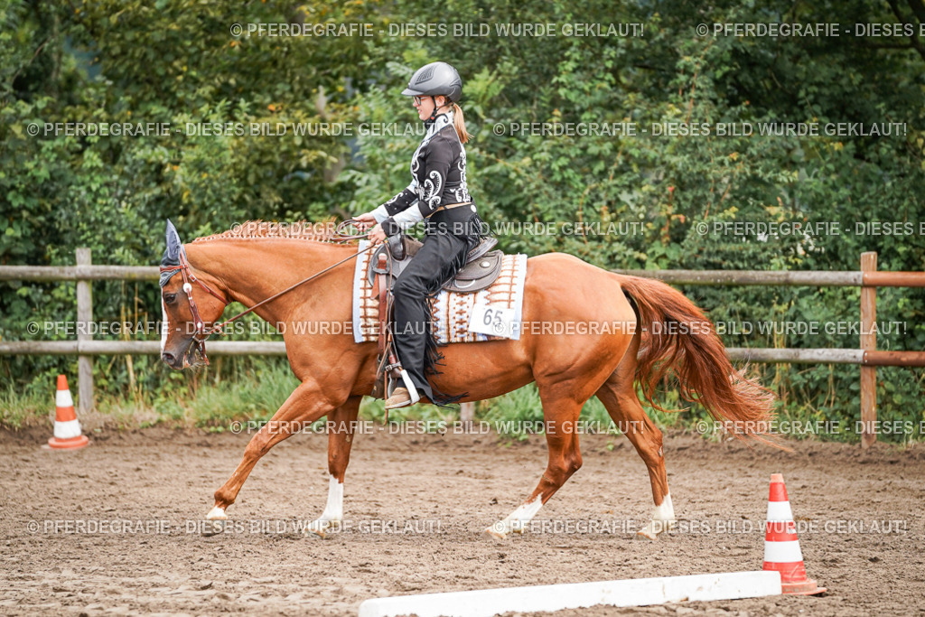 DSC04198 | Pferdegrafie