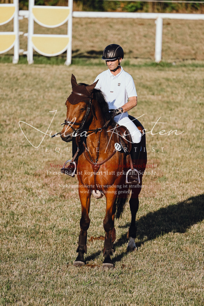 DSC_3258 | Pferde- und Turnierfotografie in Westsachsen. Pferdeportraits, Auftragszeichnungen und intuitive Kunst.