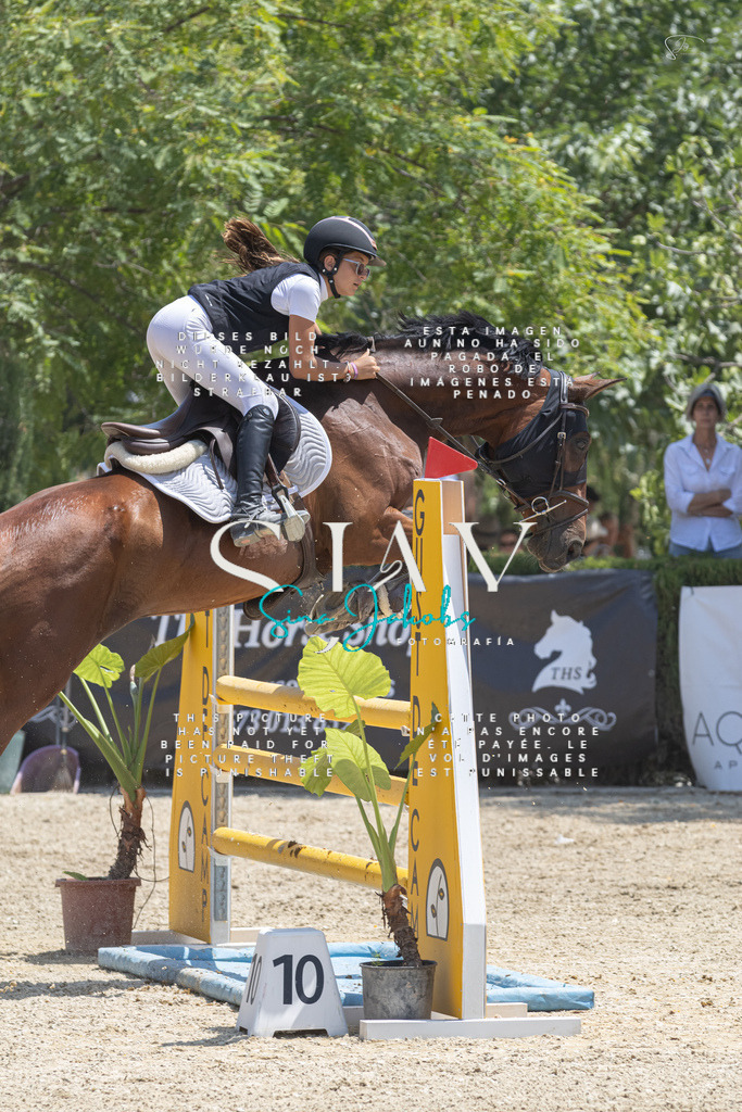 IMG_2562 | s-jay-photography - Realisiert mit Pictrs.com