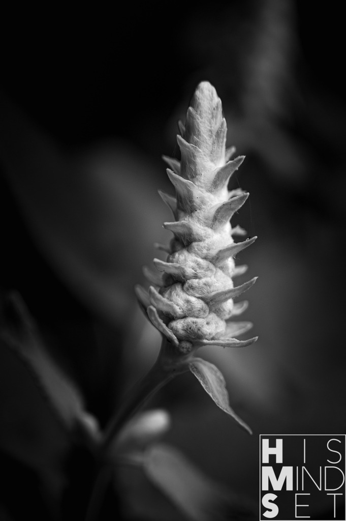 Spinnerei | Sichere dir dein Lieblingsbild von HISMINDSET als Print für dein Zuhause oder das Büro! - Realisiert mit Pictrs.com