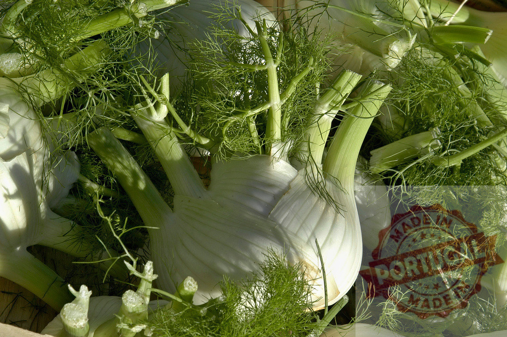 Fresh organic fennel bulbs with green fronds | Multiple fresh organic fennel bulbs with green fronds arranged in a close-up view - Realized with Pictrs.com