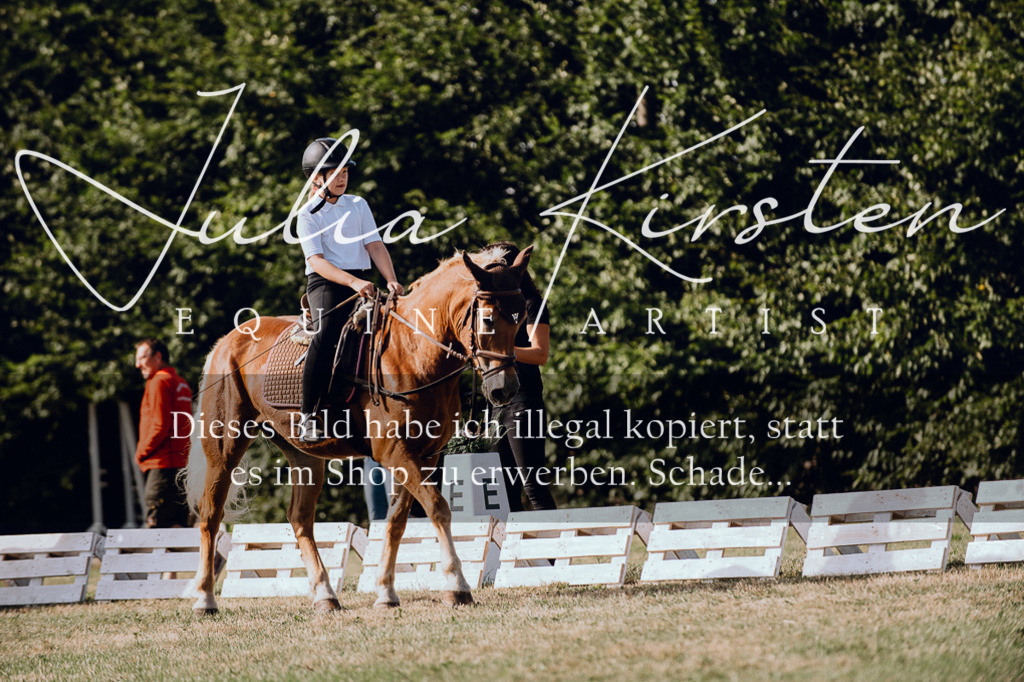 DSC_6940 | Pferde- und Turnierfotografie in Westsachsen. Pferdeportraits, Auftragszeichnungen und intuitive Kunst.